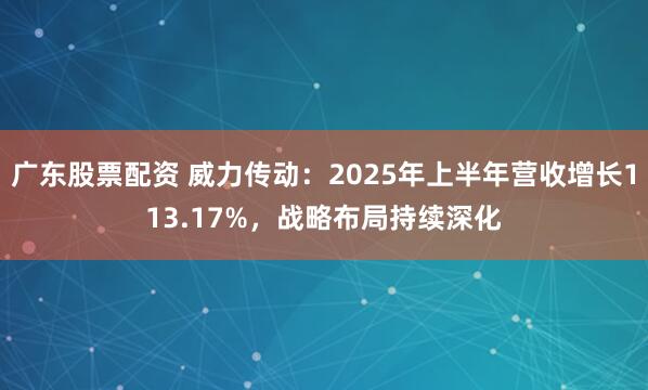 广东股票配资 威力传动：2025年上半年营收增长113.17%，战略布局持续深化