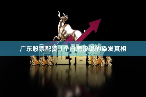 广东股票配资 1个白鹿没说的染发真相