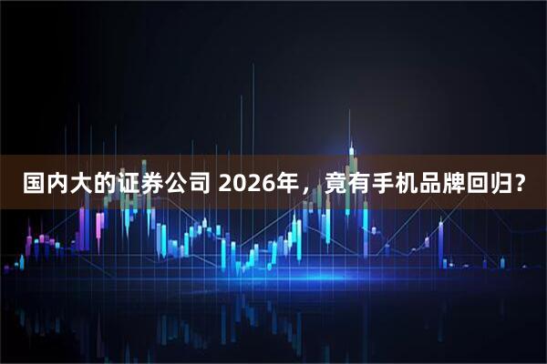 国内大的证券公司 2026年，竟有手机品牌回归？